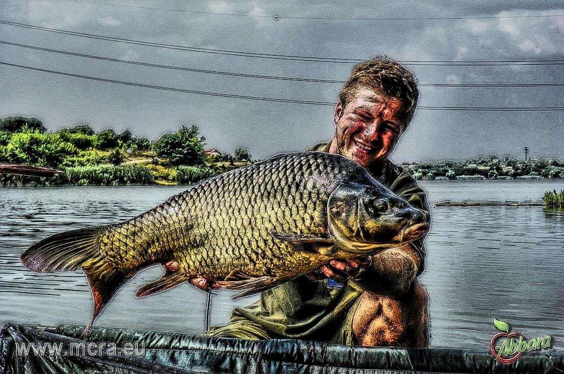 MeetCarp Romanian Awards 2013 - 1010225hdrmode2.jpg